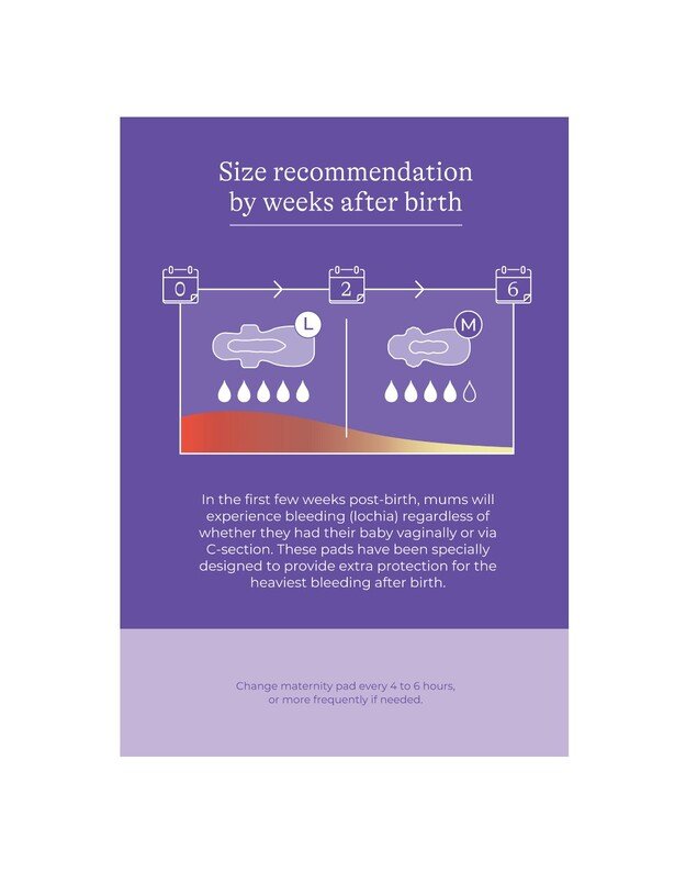 Lansinoh extra absorbent pads (L): 0-2 weeks postpartum Extra Absorbent, 10 pk 2