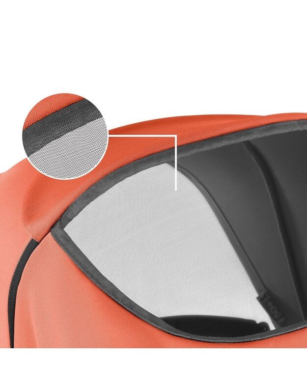 ABC Design Salsa Run buggy Carrot