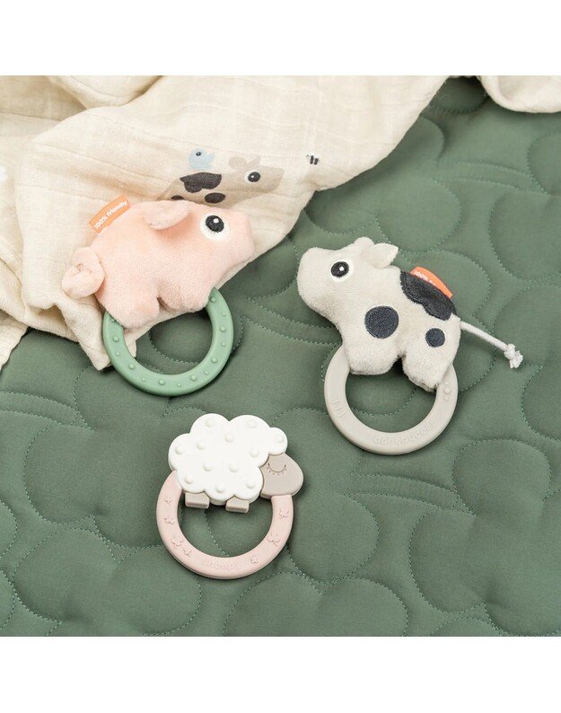 Done by Deer sensorinis barškutis - kramtukas Pigee, rausvas 2