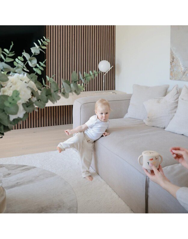 Mushie silikoninis užkandžių puodelis Dinosaurs 5