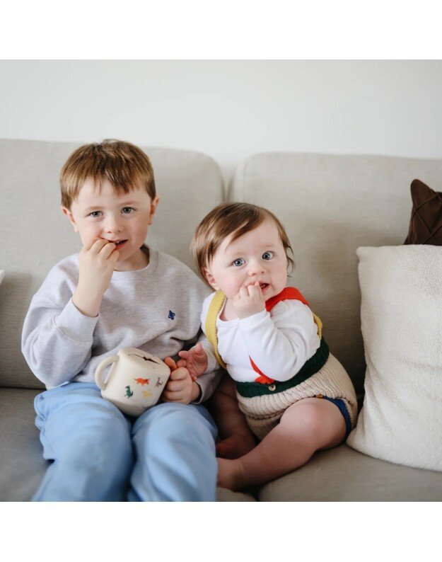 Mushie silikoninis užkandžių puodelis Dinosaurs 2