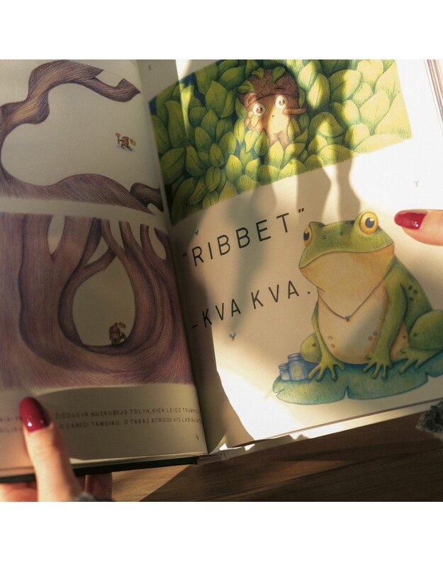 Knyga ACE ir Šauniosios Šventės 9