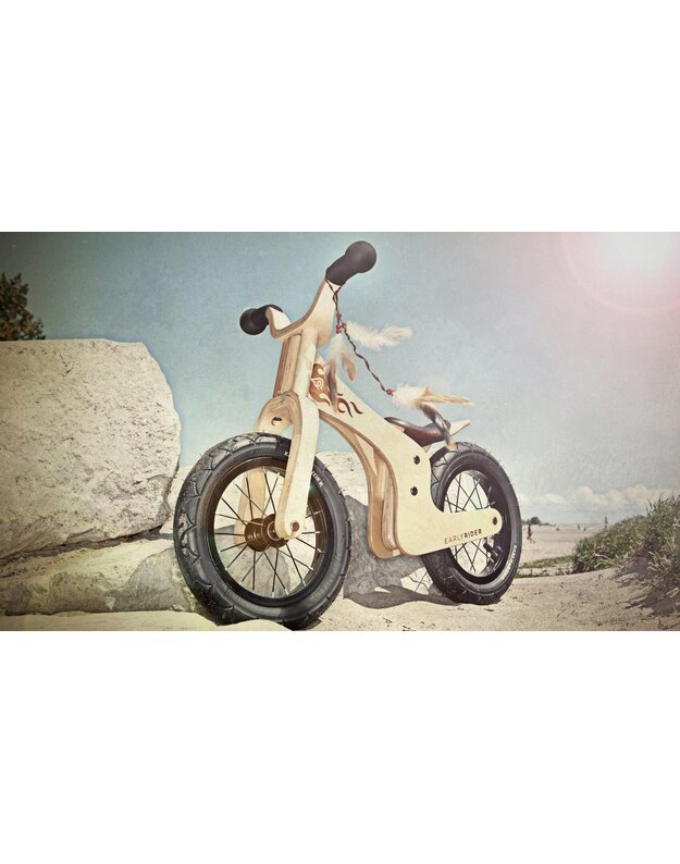 Early rider lite 12 hotsell